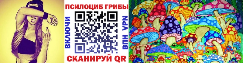 Псилоцибиновые грибы прущие грибы Полевской