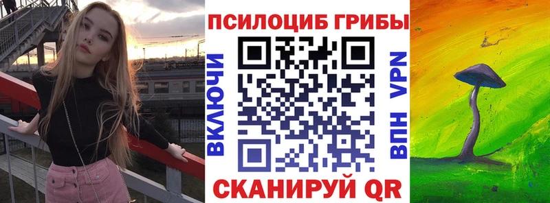 Псилоцибиновые грибы MAGIC MUSHROOMS  купить наркоту  Полевской 