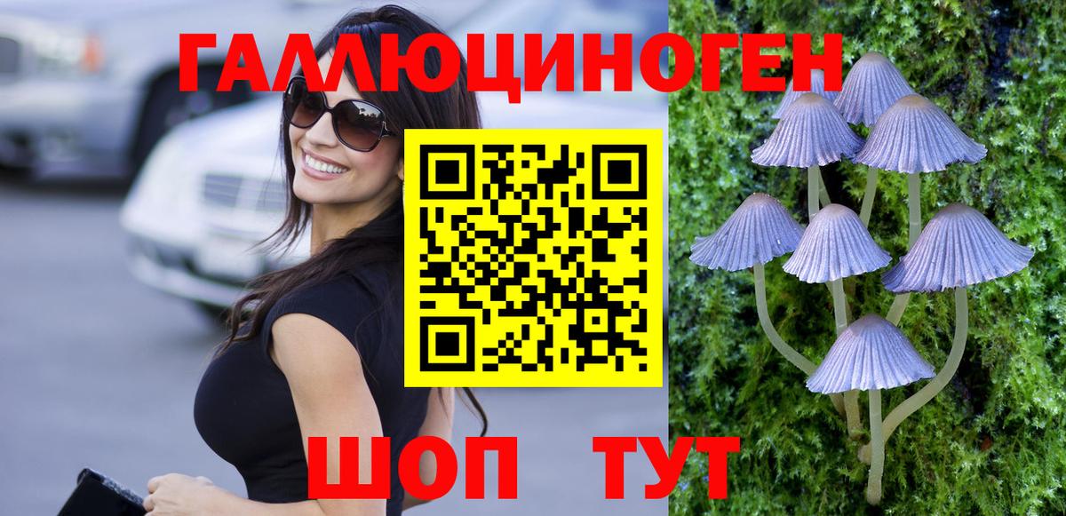 Псилоцибиновые грибы GOLDEN TEACHER Полевской