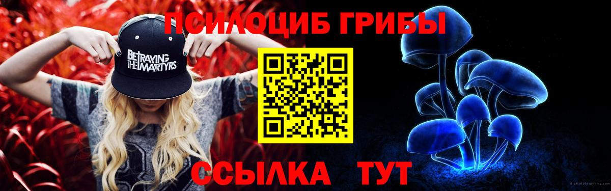 Псилоцибиновые грибы GOLDEN TEACHER Полевской